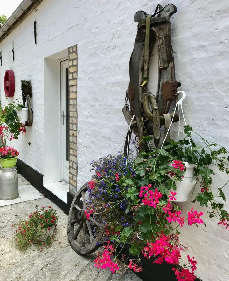 La Ferme Wessiere Guest House Oye-Plage Exterior photo